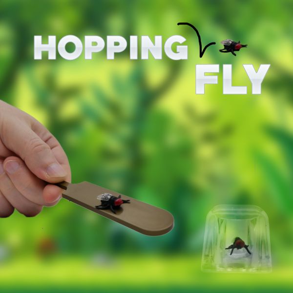 Hopping Fly